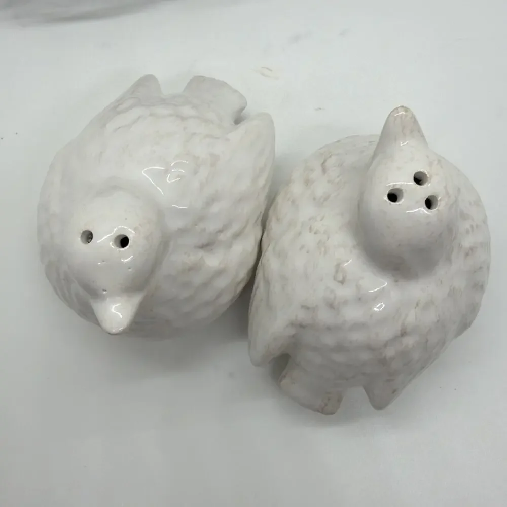 Chicks Birds Salt Pepper Shakers in Wire Country Basket Ceramic